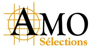 Logo AMO