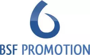 Logo BSF Promotion